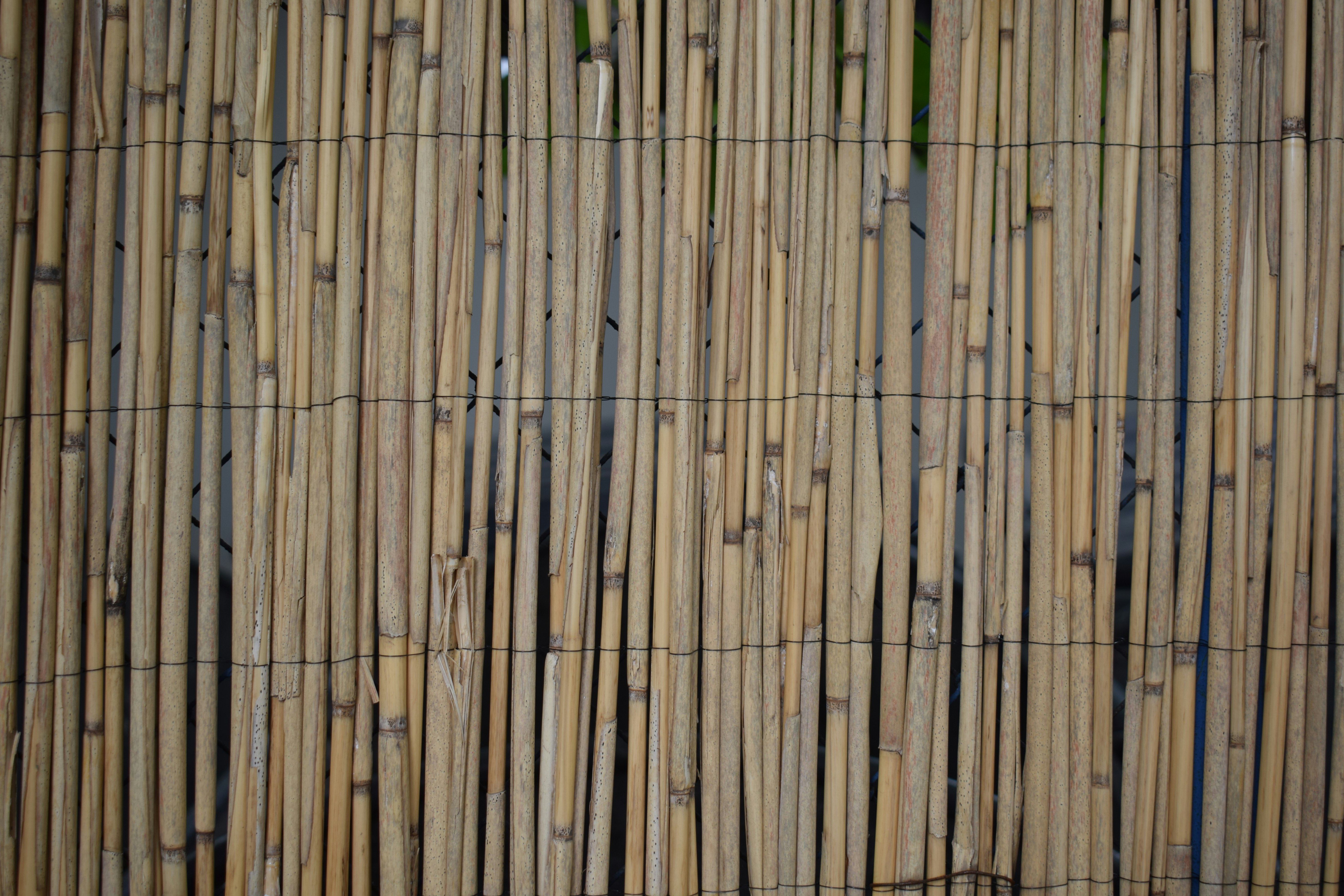 a close up of a bamboo fence